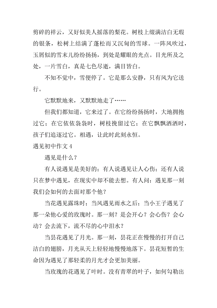 遇见初中作文12篇初中遇见的作文_第4页