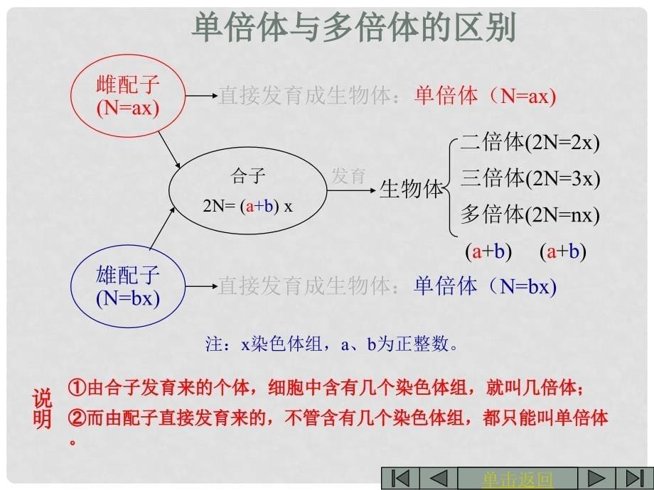 吉林省吉林市长岭县第四中学高二生物 5.2.2染色体变异课件_第5页