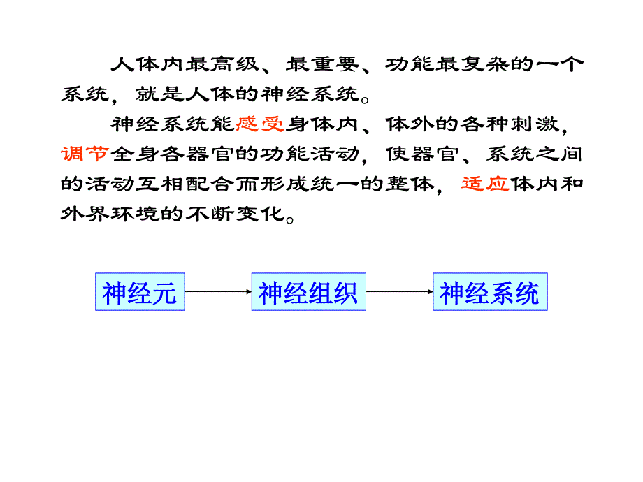 神经系统--激素调节_第2页