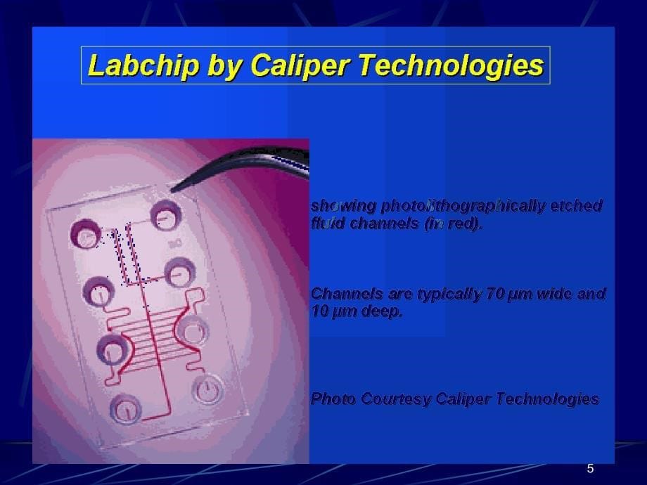 生物芯片分类及应用.ppt_第5页