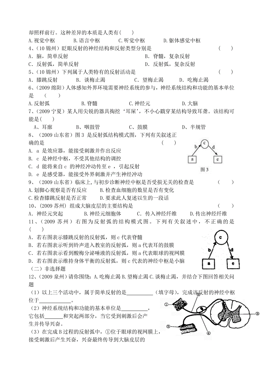 第1节人体的神经调节复习.doc_第2页