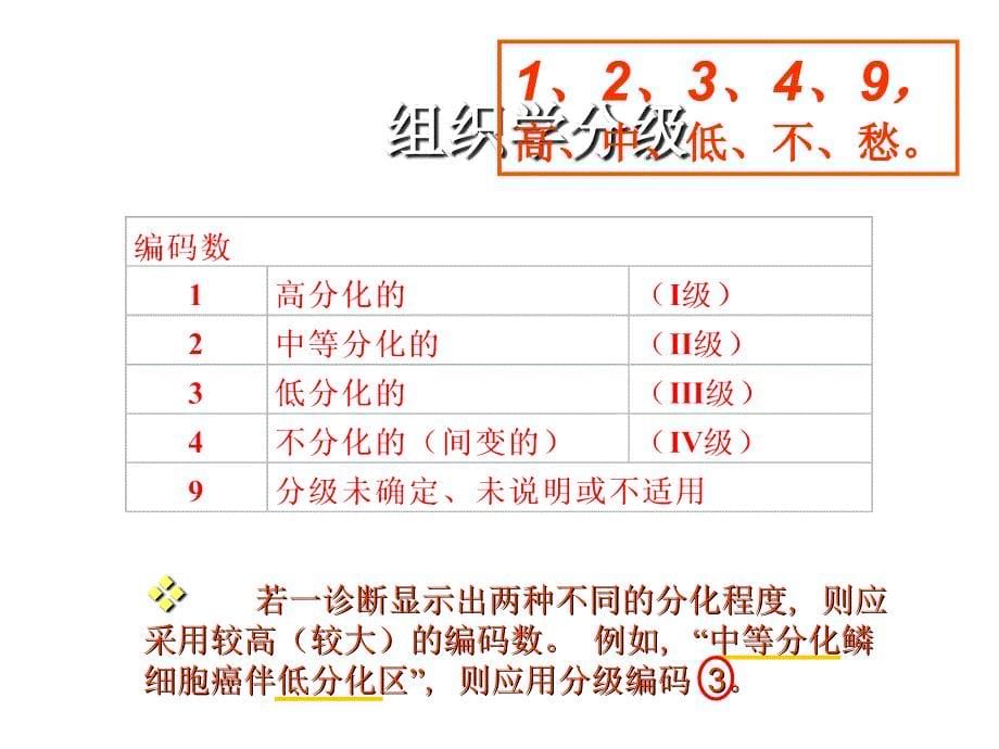 3月14日肿瘤编码经验交流PPT课件_第5页