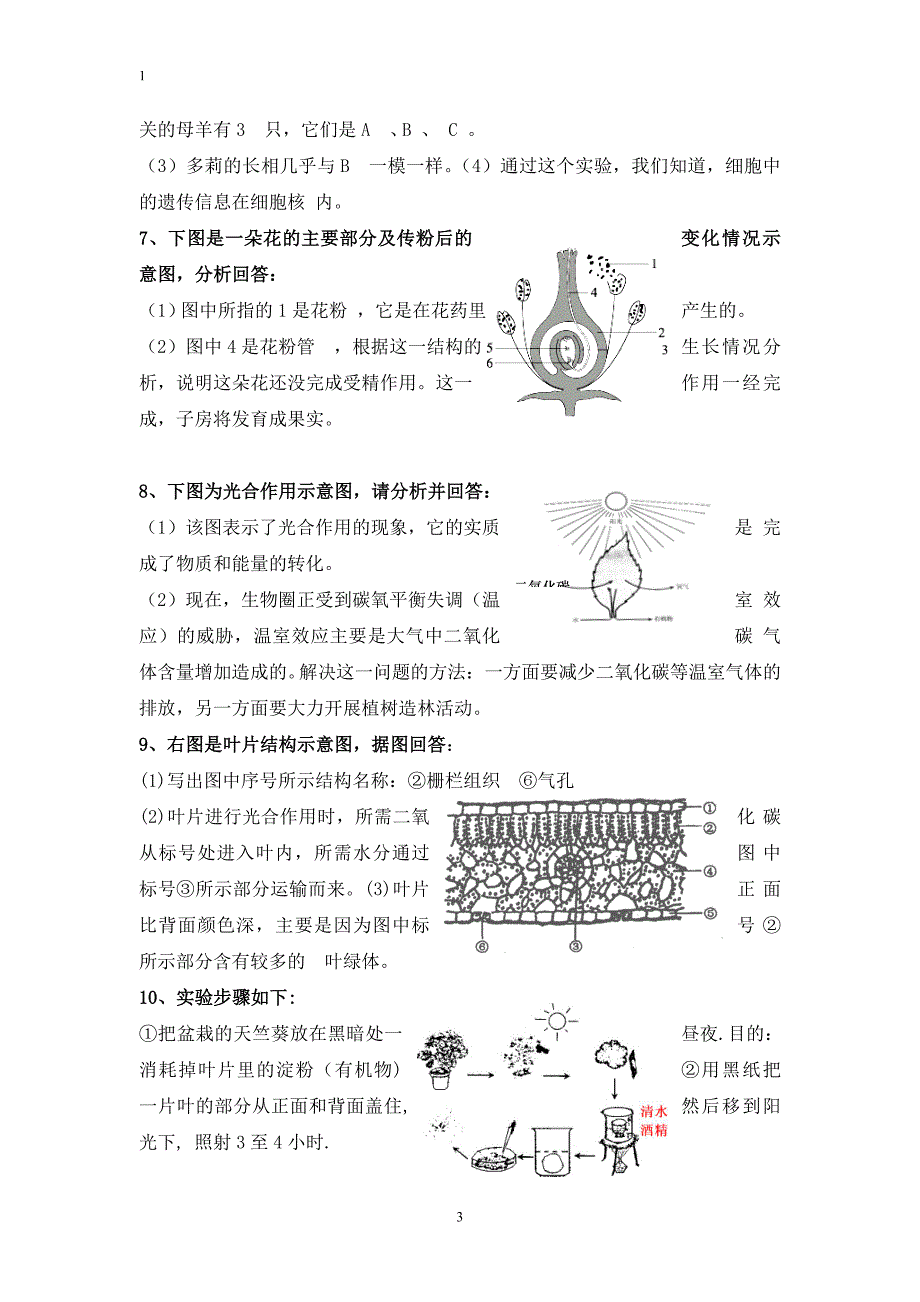 2013-2014生物七年级生物上册复习最新资料识图题库及答案_第3页