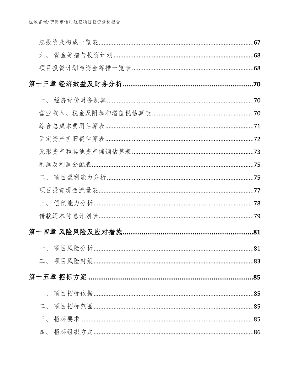 宁德市通用航空项目投资分析报告【模板参考】_第4页