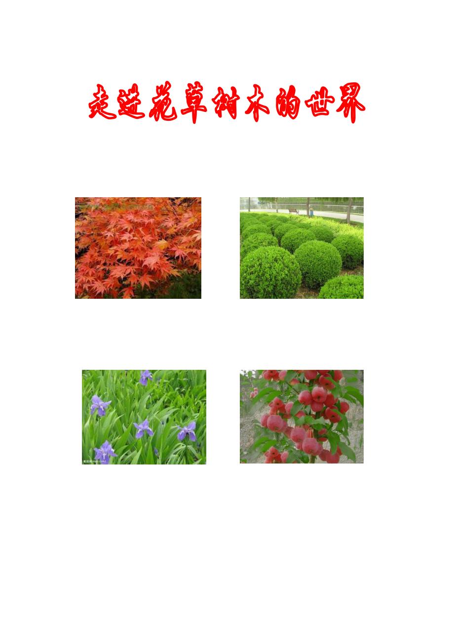 劳动课程校本教材_第1页