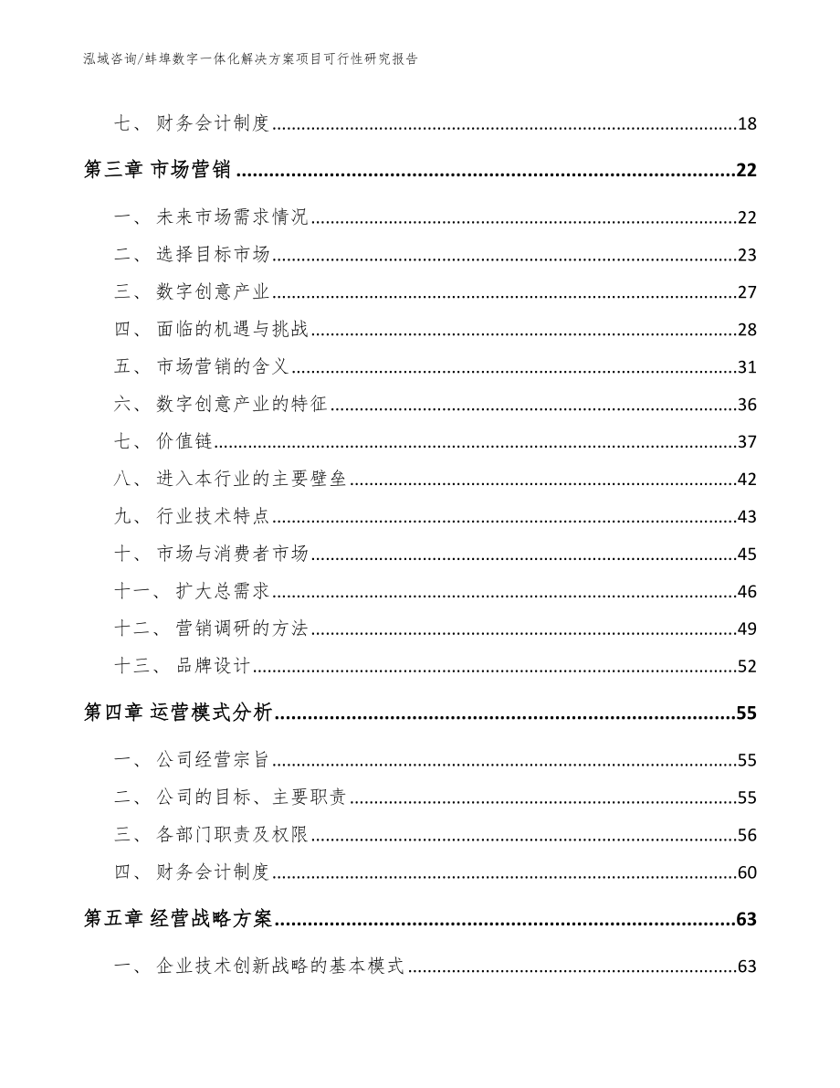 蚌埠数字一体化解决方案项目可行性研究报告_第3页