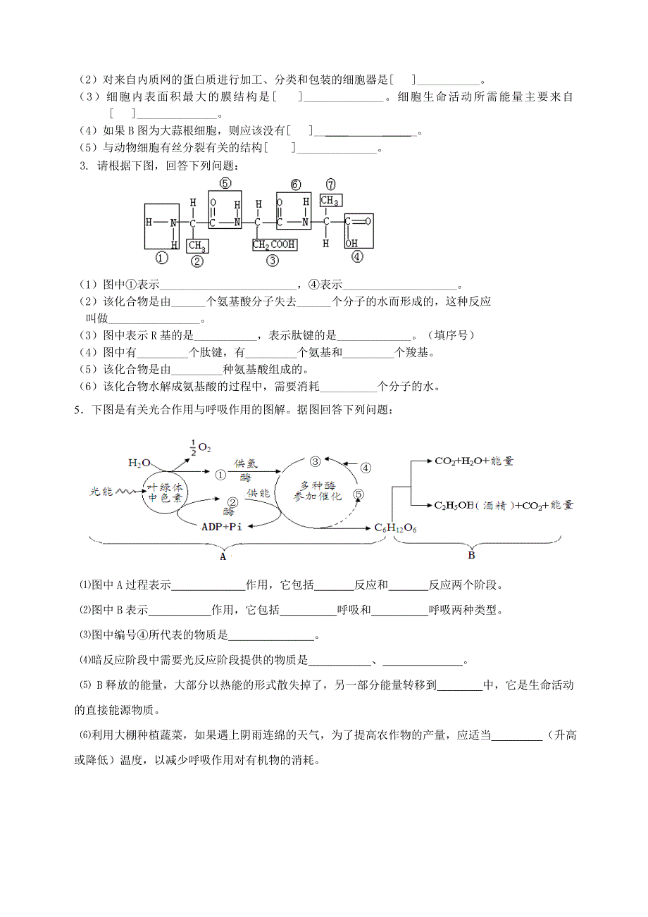 高中生物必修一练习（文）.doc_第4页