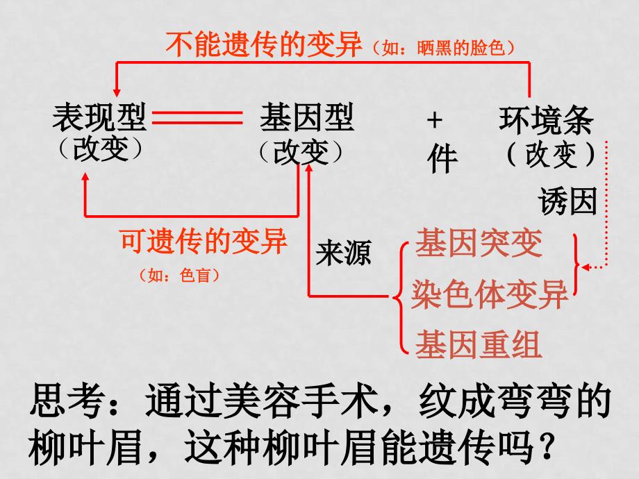 人教版 必修2 高中生物第5章基因突变和基因重组的课件_第3页