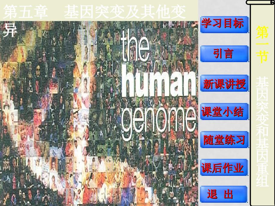 人教版 必修2 高中生物第5章基因突变和基因重组的课件_第4页