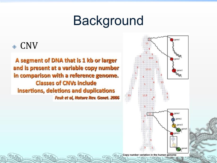 Accurate and exact CNV identification from targeted highthroughput 准确识别目标的高量准确的CNV_第3页