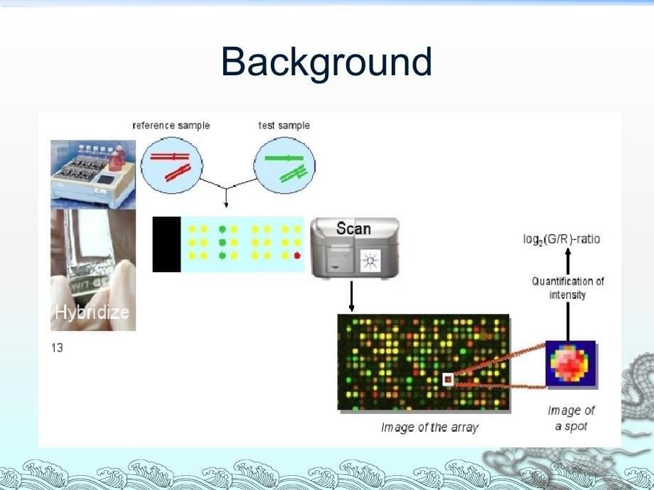 Accurate and exact CNV identification from targeted highthroughput 准确识别目标的高量准确的CNV_第5页