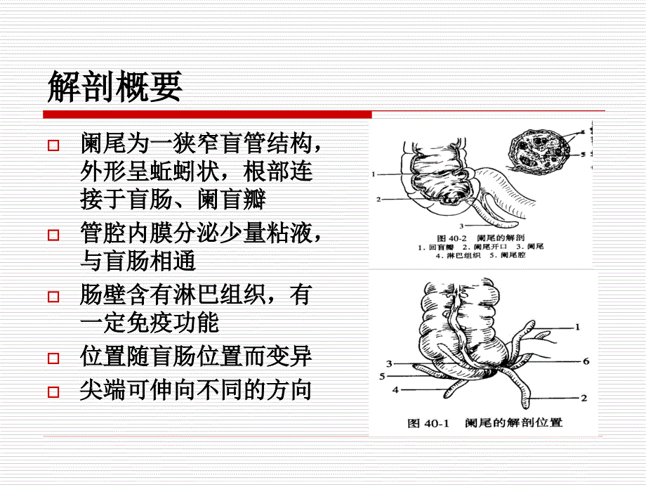 阑尾炎护理查房22084课件_第2页