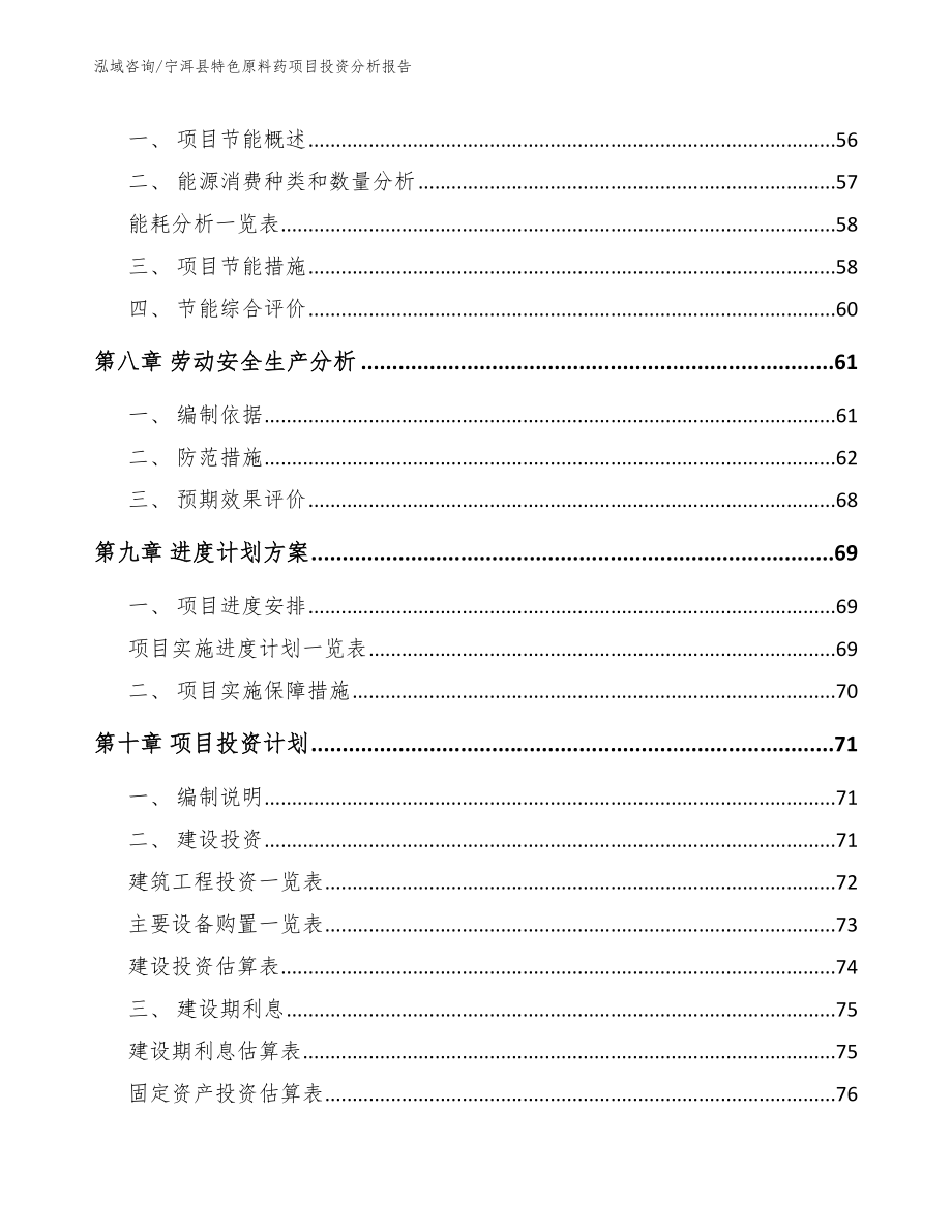 宁洱县特色原料药项目投资分析报告模板范本_第3页