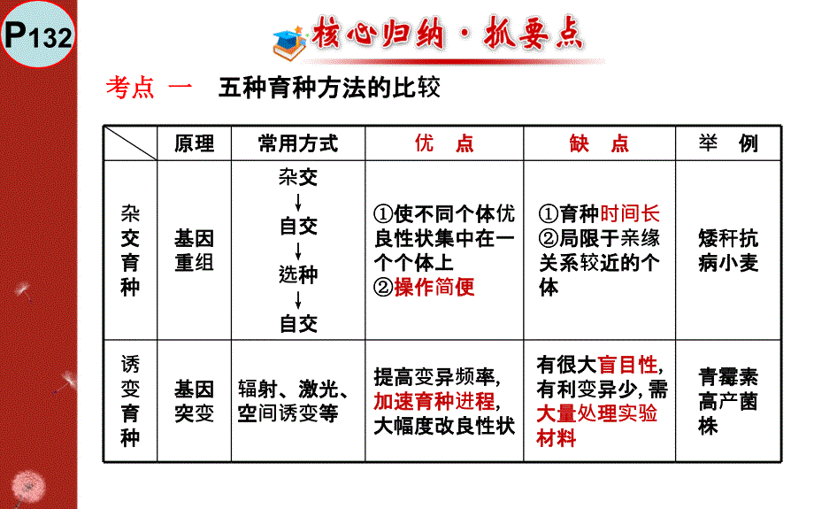 基因工程育种ppt课件_第3页