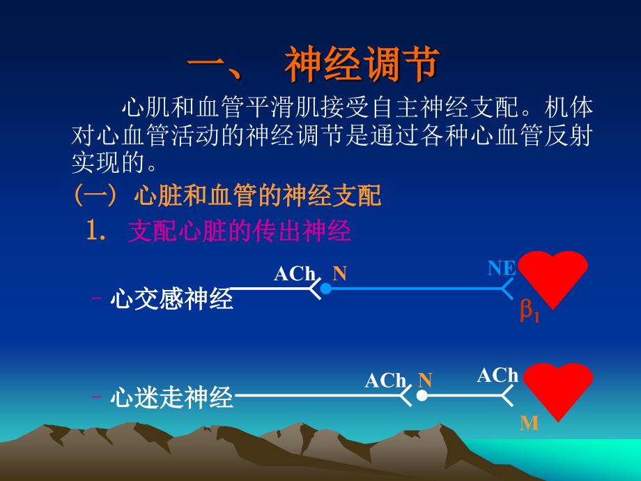 循环生理心血管活动的调节_第2页