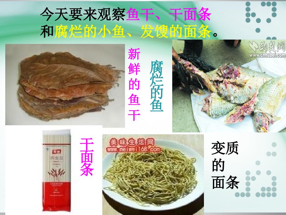 减慢食物变质的速度课件_第3页