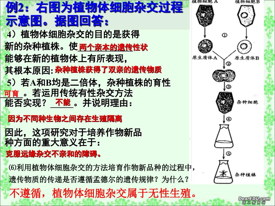 动物细胞培养和核移植技术yong_第3页