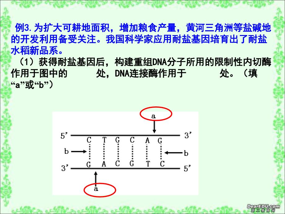 动物细胞培养和核移植技术yong_第4页