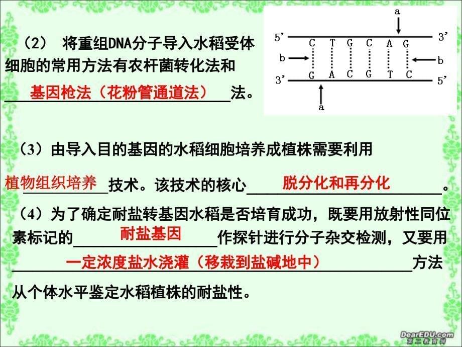 动物细胞培养和核移植技术yong_第5页