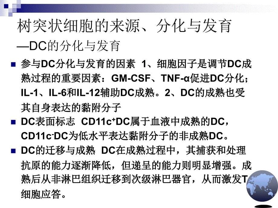 免疫学课件：第七章 抗原递呈细胞及其他免疫细胞_第5页