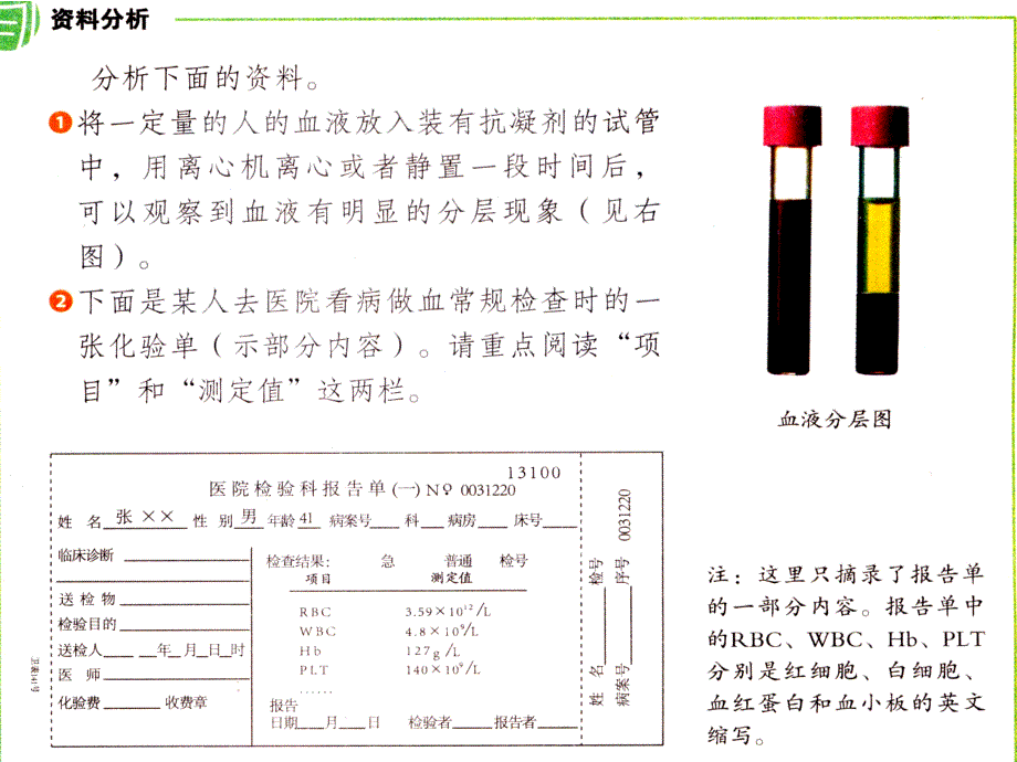 生物流动的组织血液.ppt_第3页