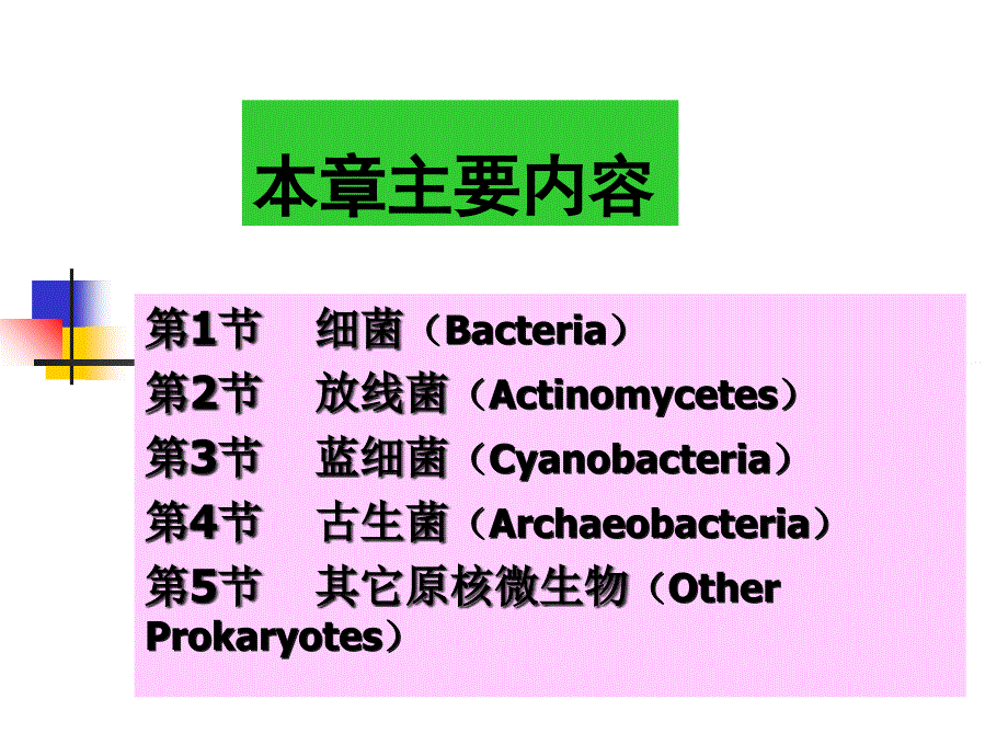 原核细菌PPT课件_第3页