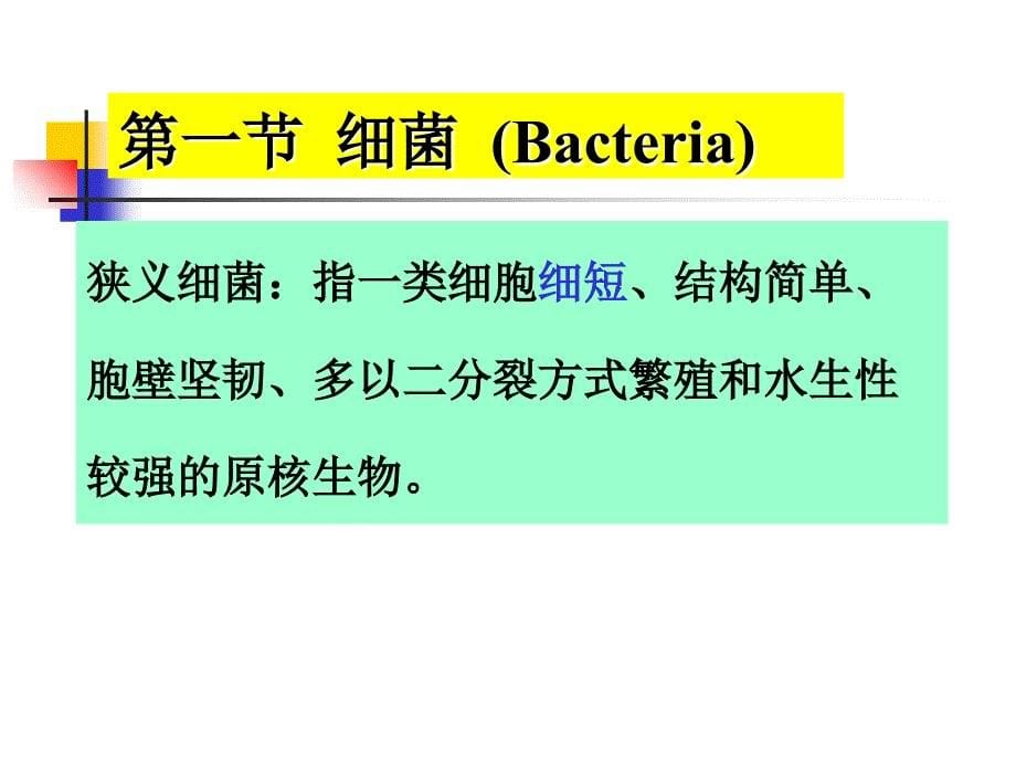 原核细菌PPT课件_第5页