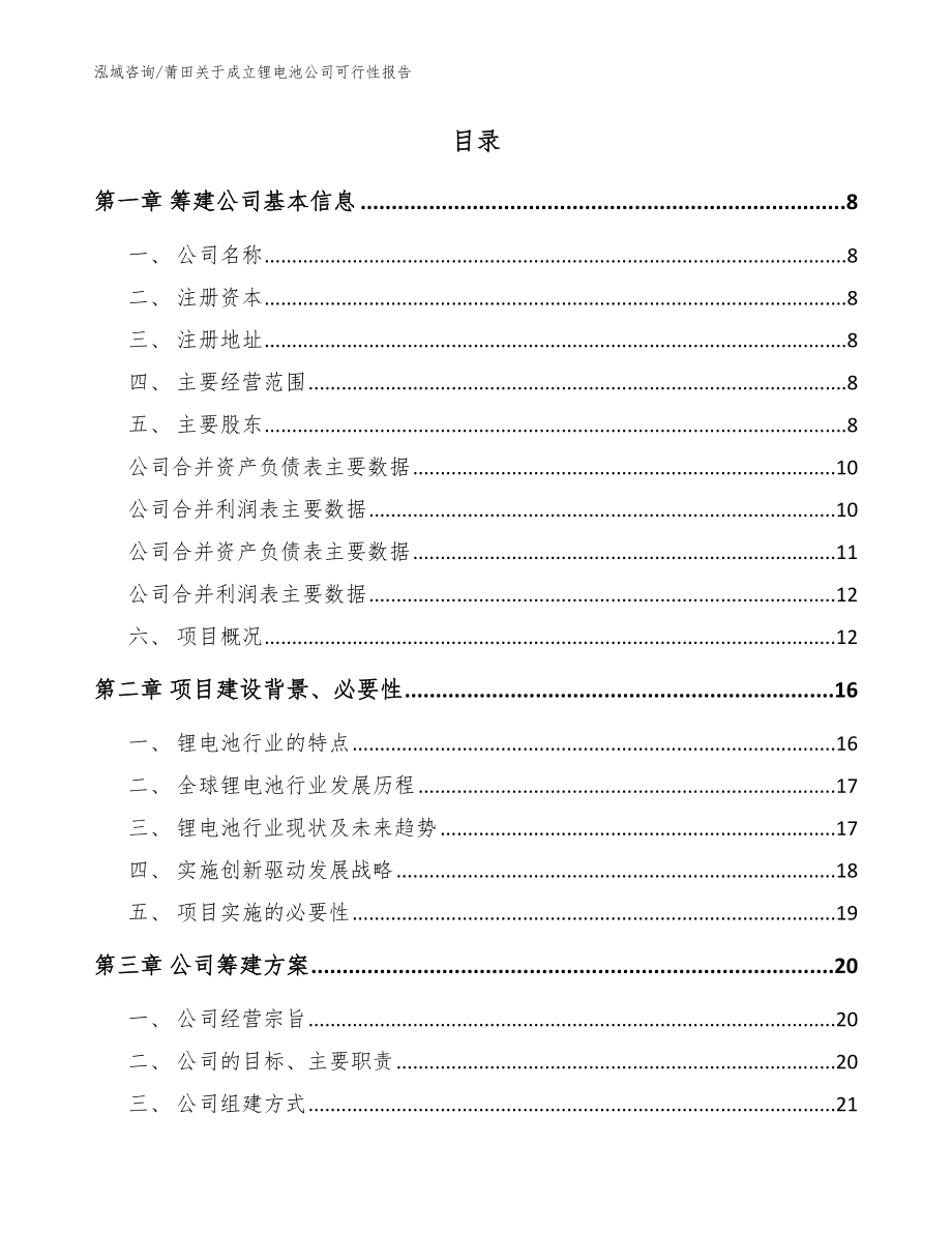 莆田关于成立锂电池公司可行性报告（范文）_第2页