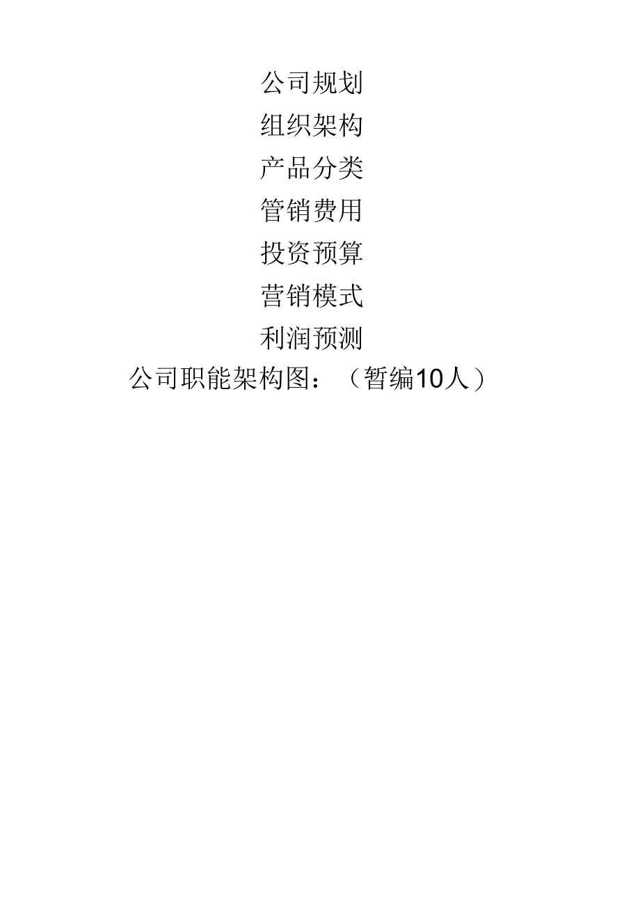 新公司成立规划策划方案_第1页