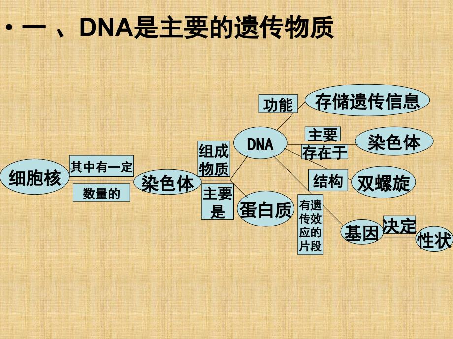 第15章生物的遗传和变异名师编辑PPT课件_第2页