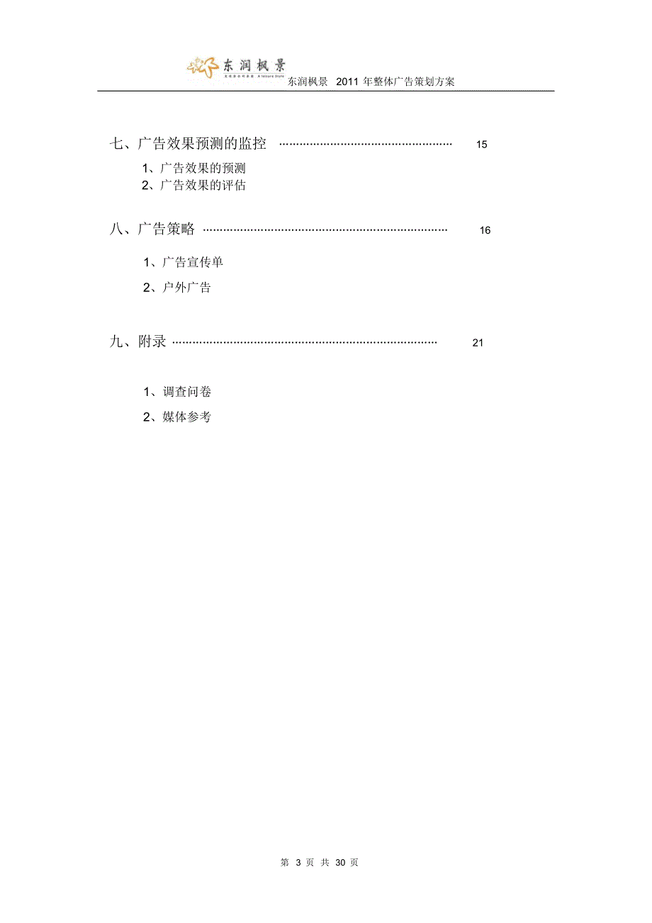 2011年整体广告策划方案_第3页