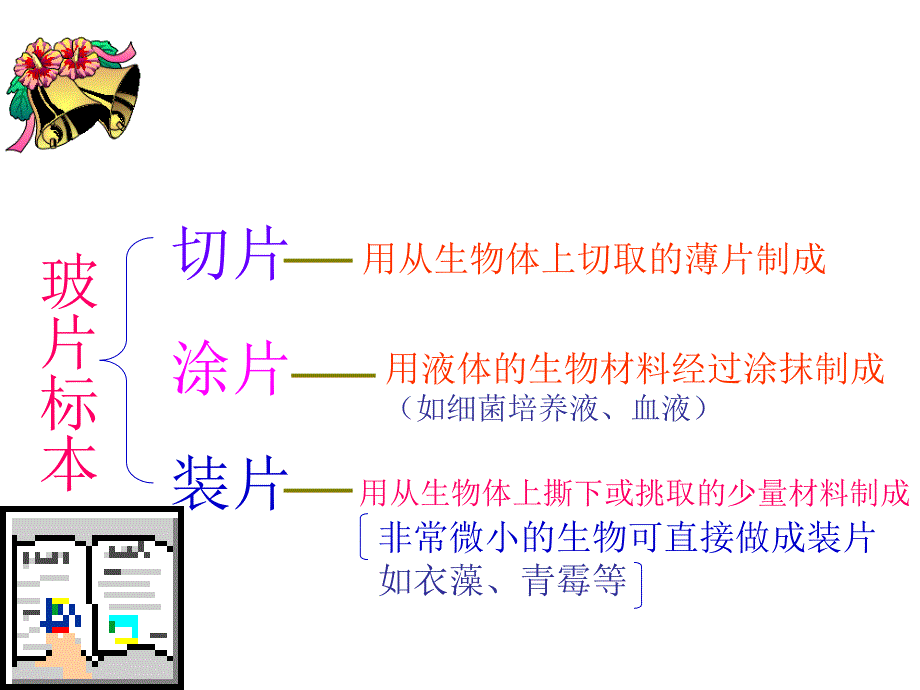 七年级生物上册 2.1.2 植物细胞课件 （新版）新人教版_第3页