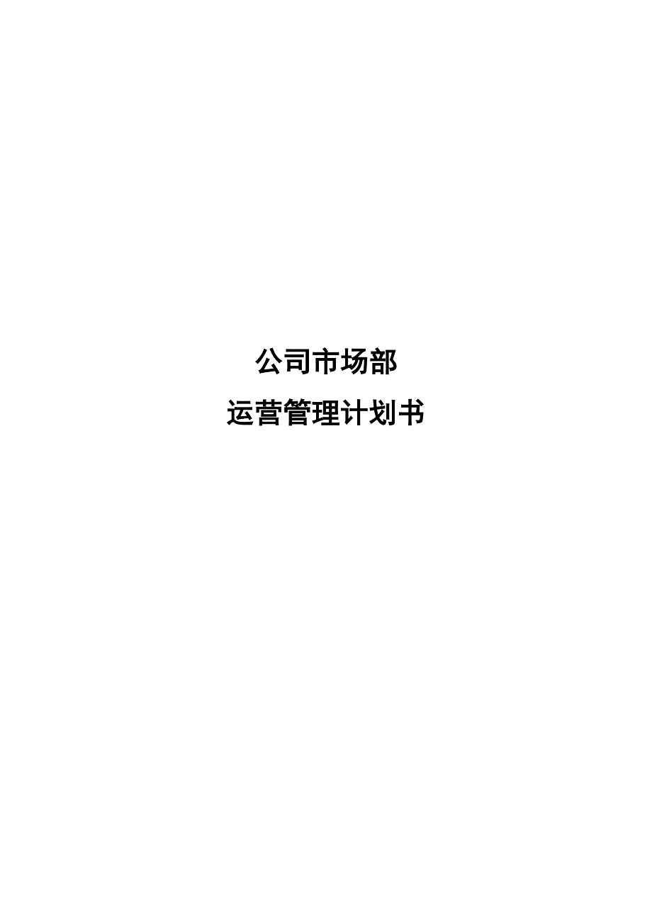 信息技术公司公司市场部运营管理计划书_第1页