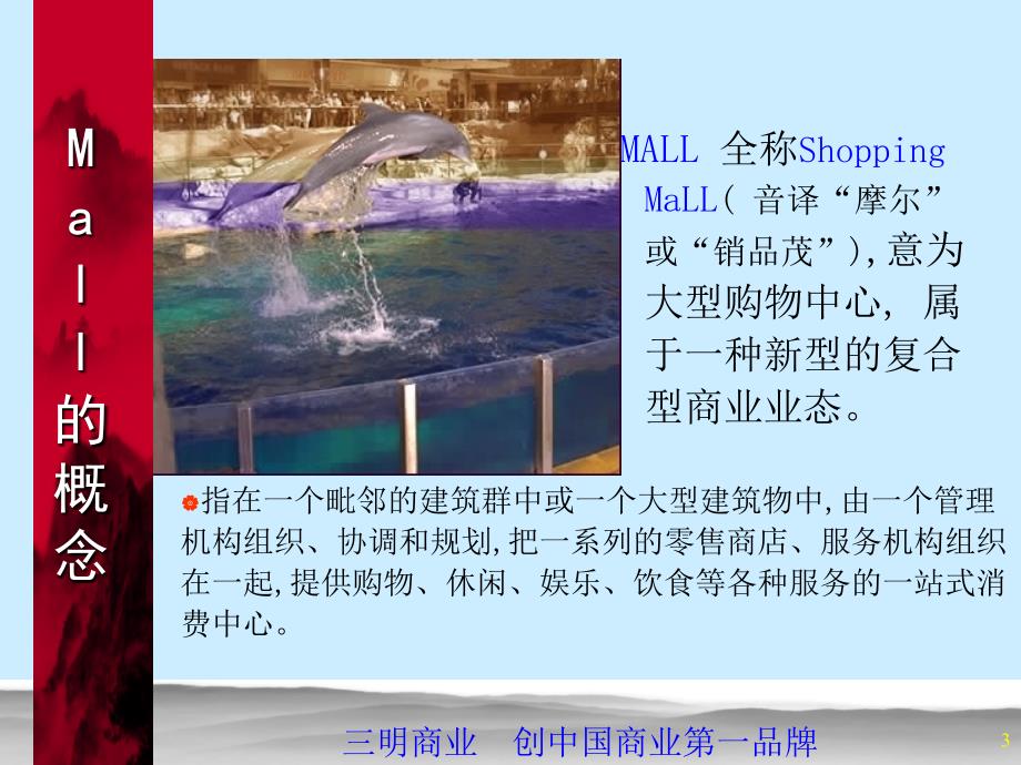 华南Mall策划思路Mall理解篇_第3页