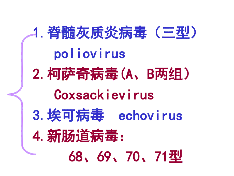 B2B肠道病毒PPT课件_第2页