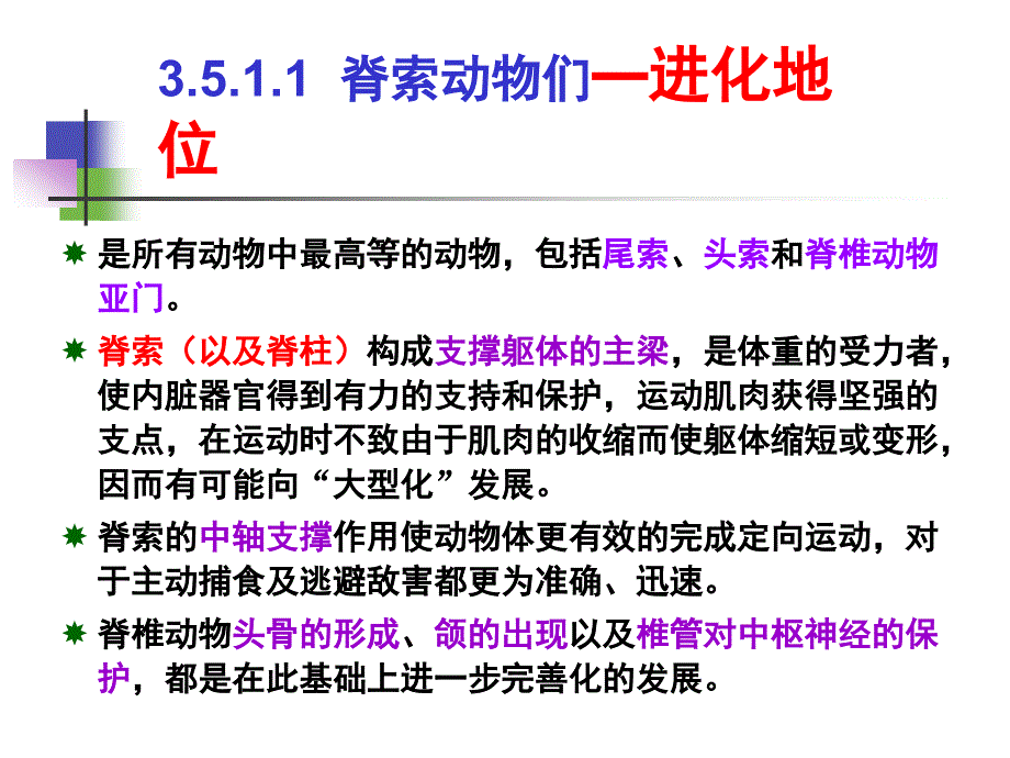 动物学.5.1 最高等的动物门类脊索动物门_第3页