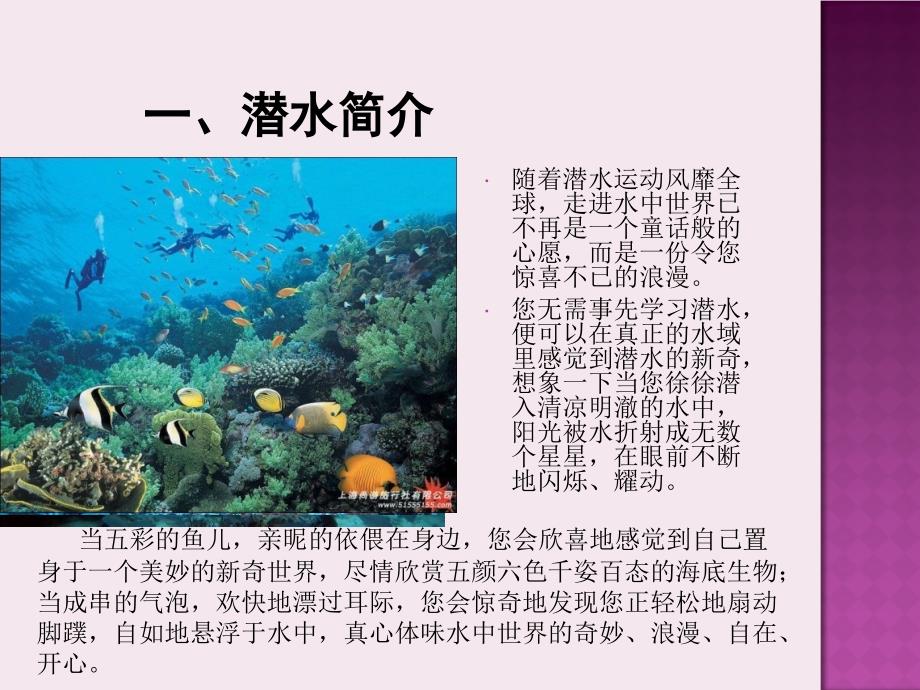 海南 潜水 shangshi513.ppt_第3页