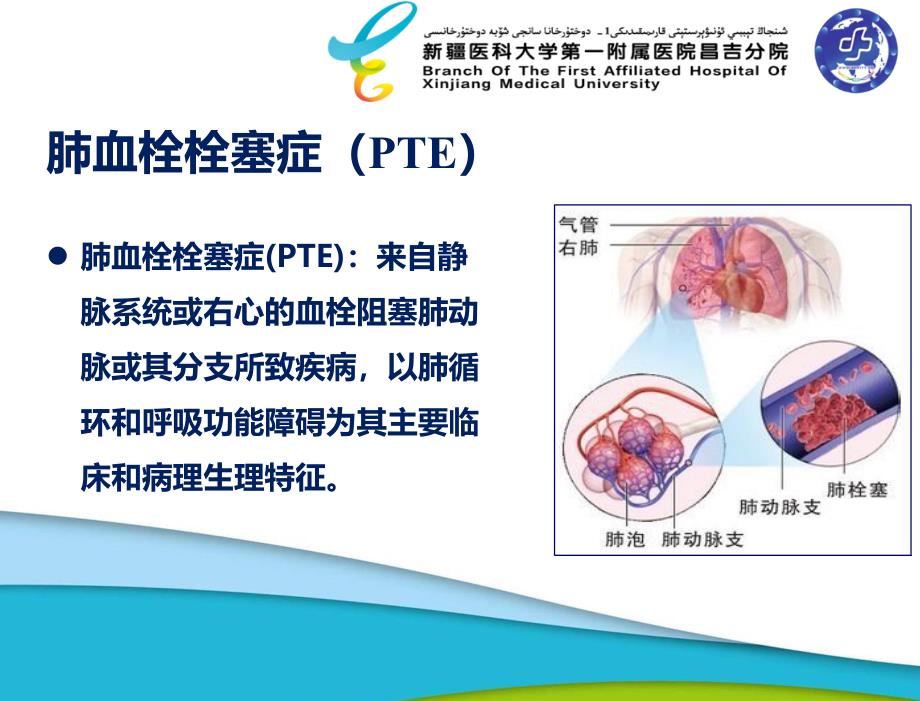 VTE预防健康教育_第4页