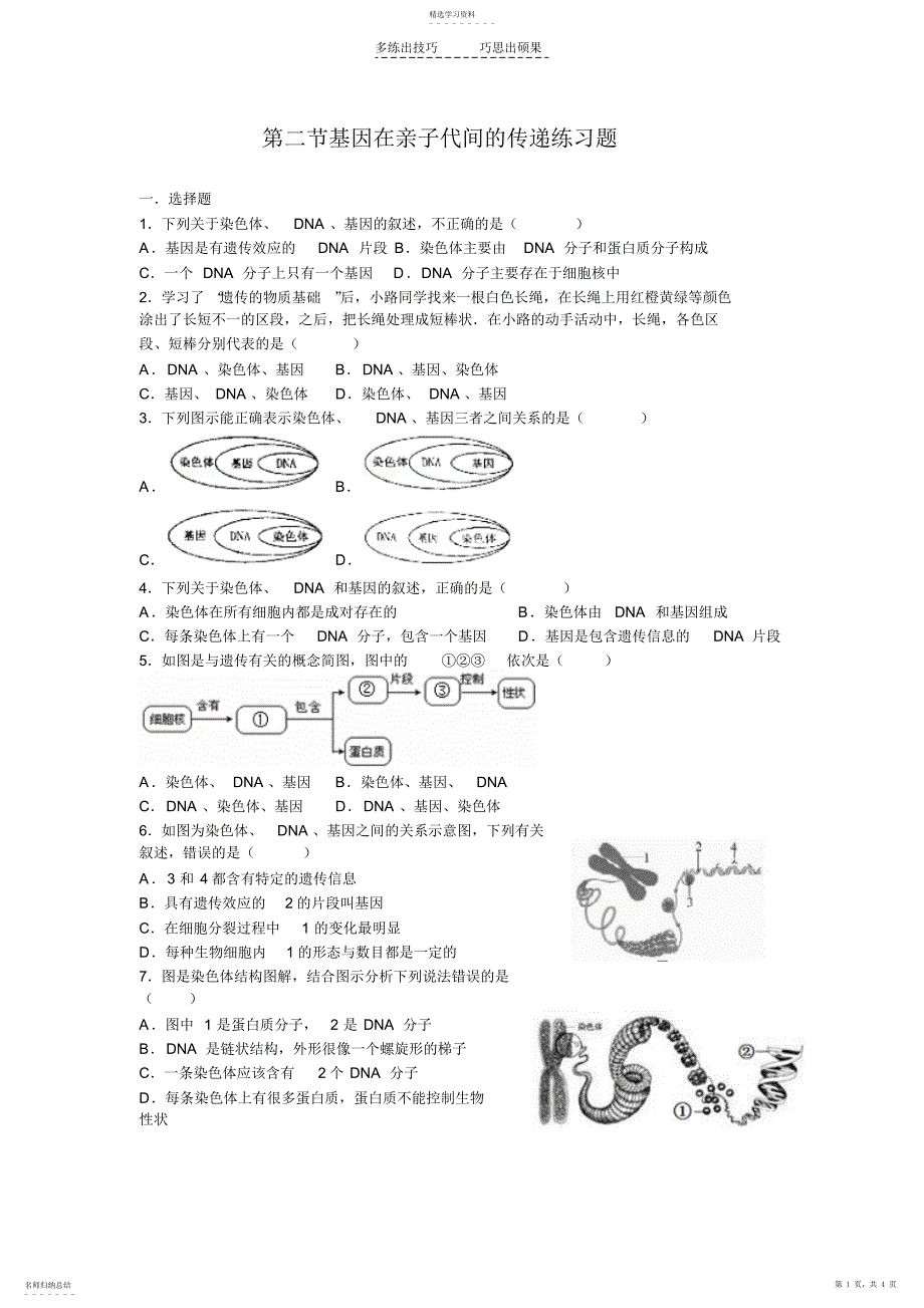 2022年第二节基因在亲子代间的传递练习题_第1页