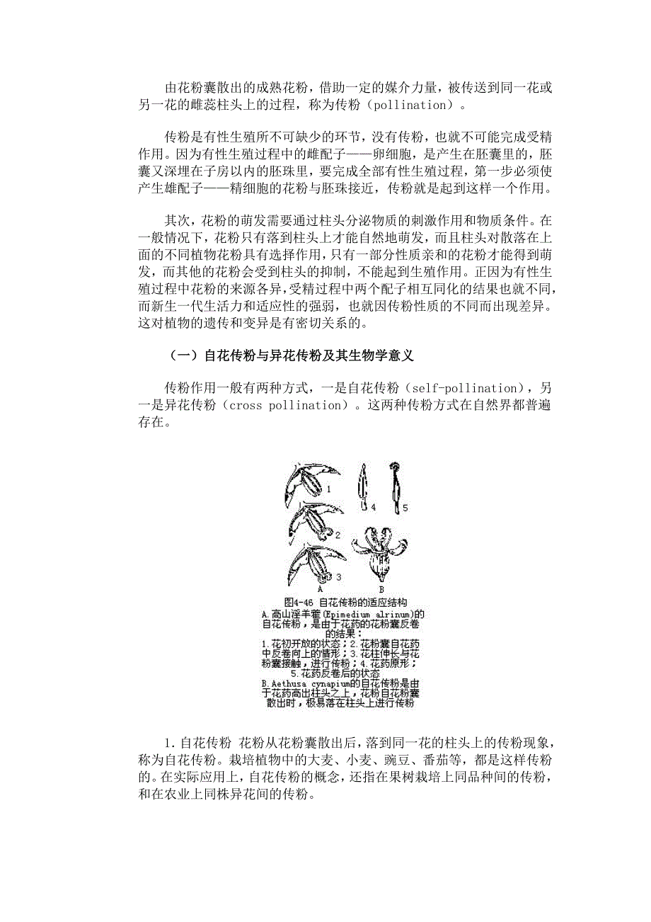 45第五节开花、传粉与受精_第2页