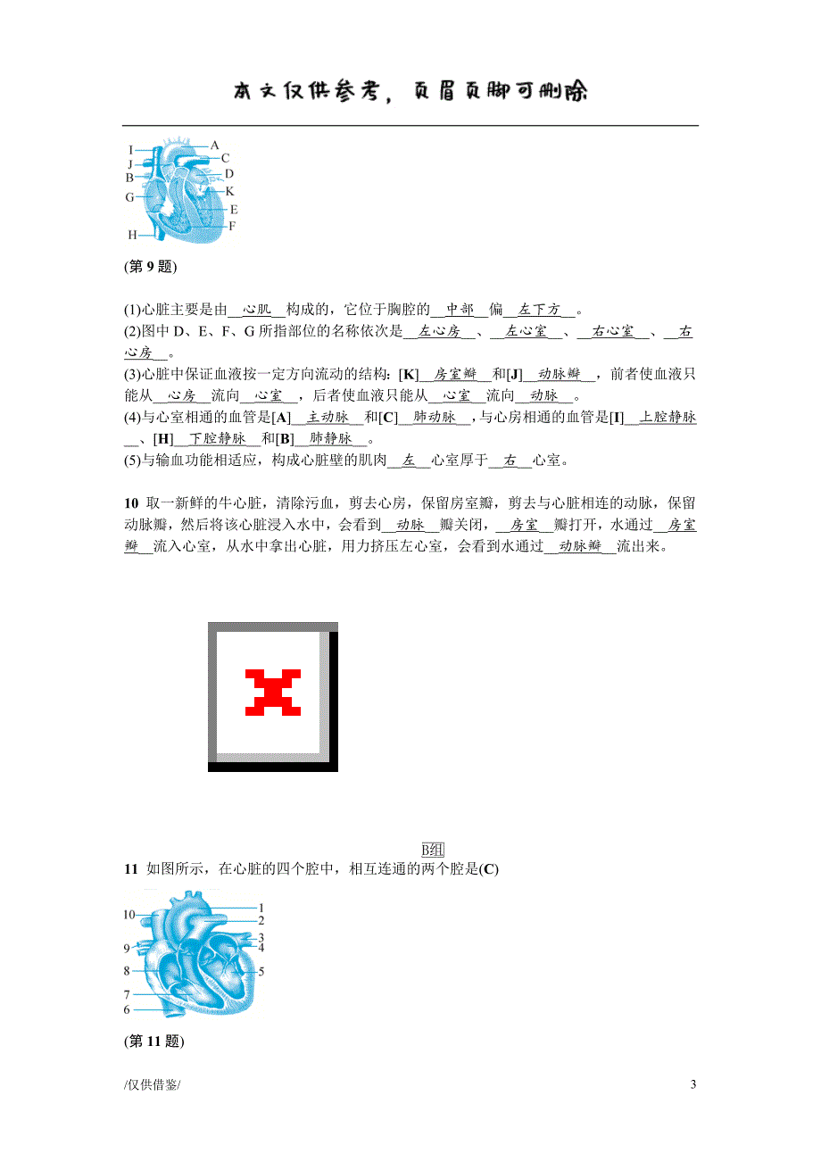 分组实验：解剖牛的心脏【参考借鉴】_第3页