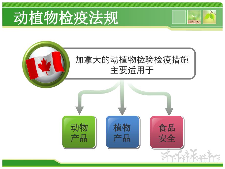 加拿大动植物检验检疫分析课件_第4页