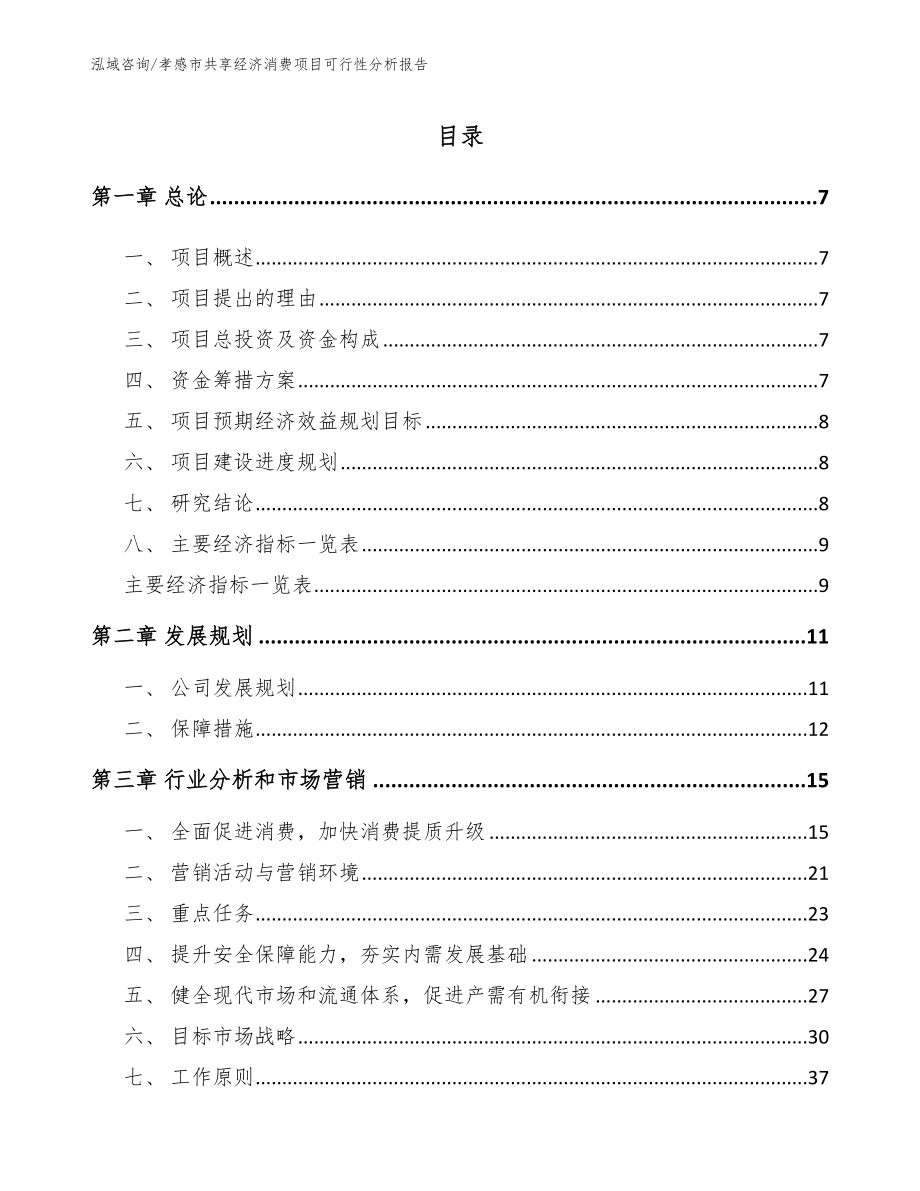 孝感市共享经济消费项目可行性分析报告_第2页