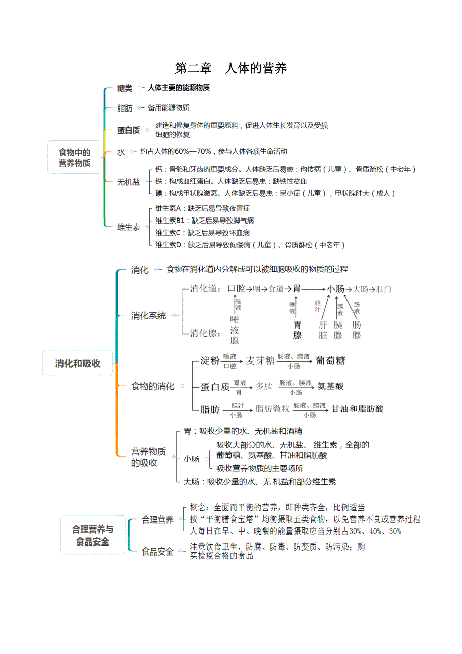 人教版七年级生物下册考点(思维导图版)(共8页)_第2页