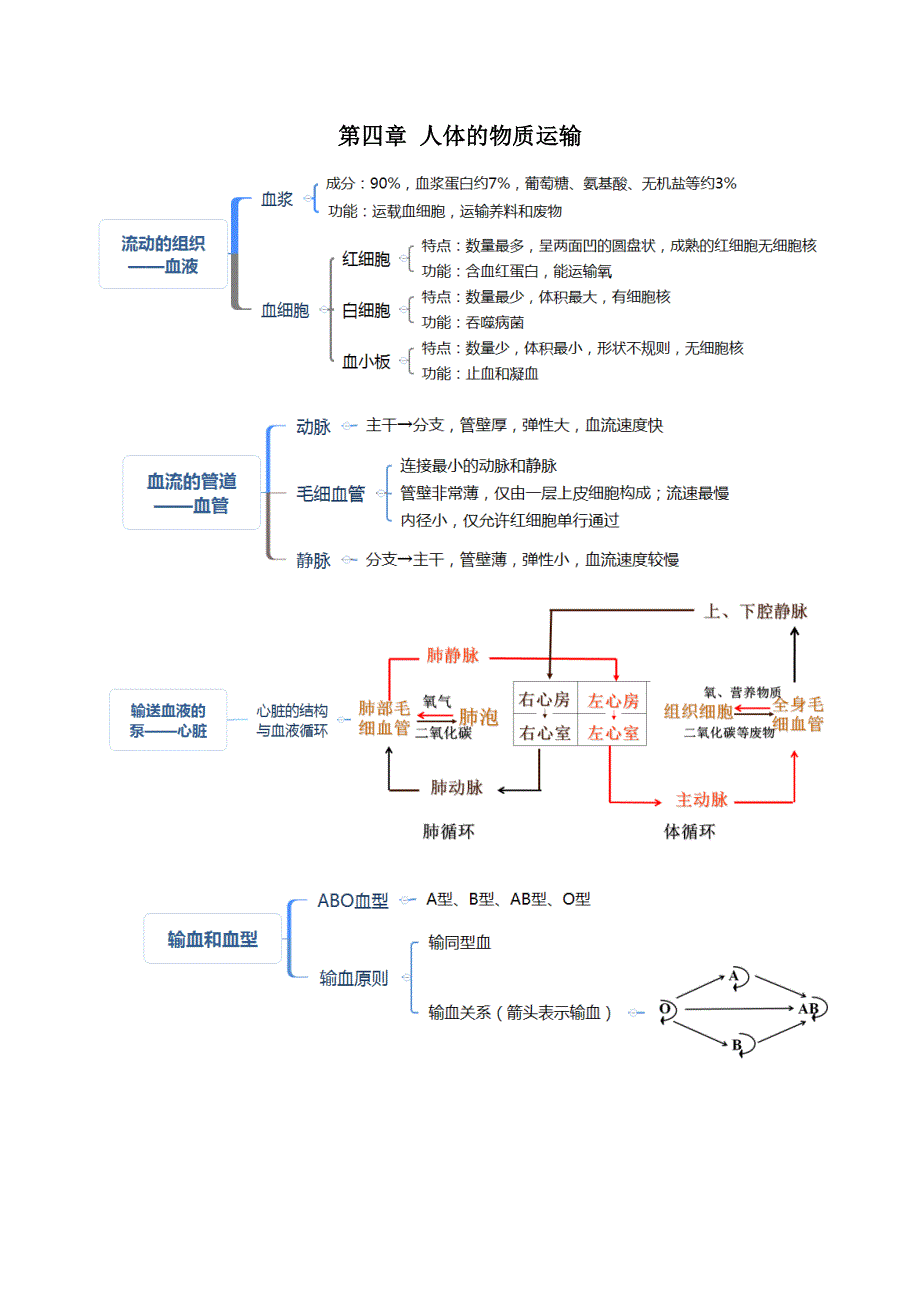 人教版七年级生物下册考点(思维导图版)(共8页)_第4页