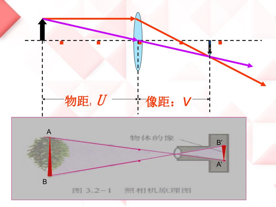 初二物理眼睛和眼镜_第3页