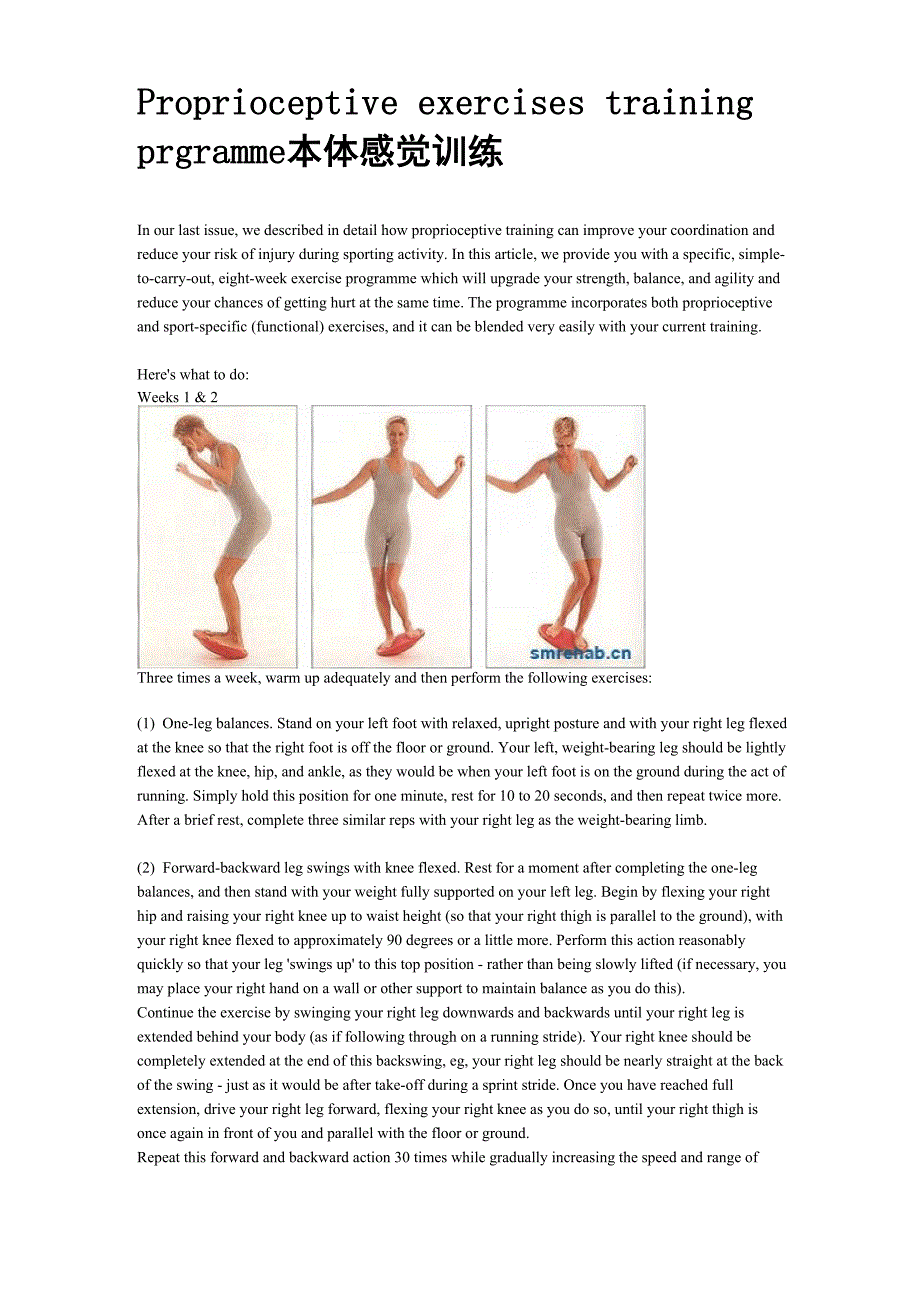 本体感觉训练_第1页