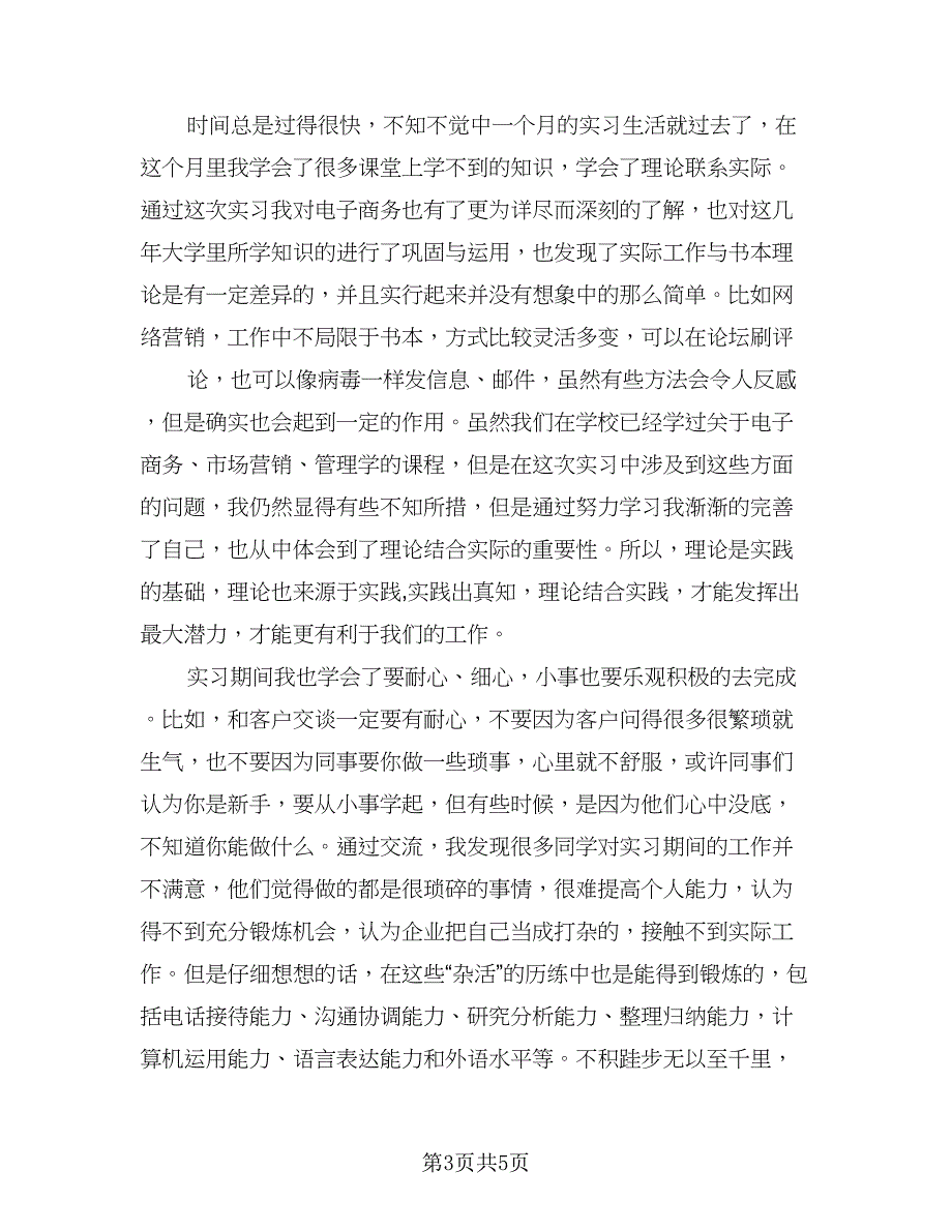 2023电子商务实习工作总结例文（三篇）.doc_第3页