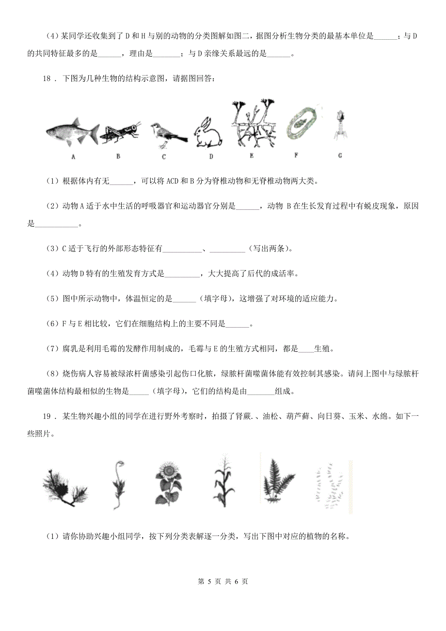 陕西省2019年八年级上册生物 第六单元 第一章 根据生物的特征进行分类 章末练习题A卷_第5页