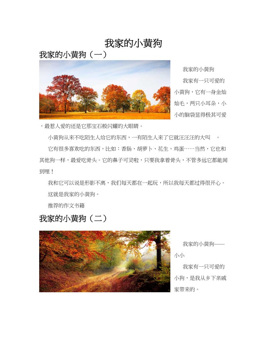 我家的小黄狗(共10篇).docx_第1页